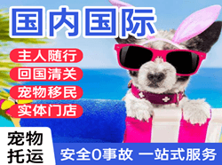 潍坊航空空运国际宠物托运 【国